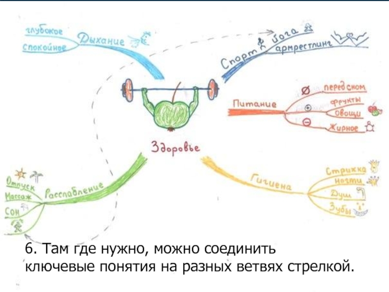 Интеллектуальная карта по биологии