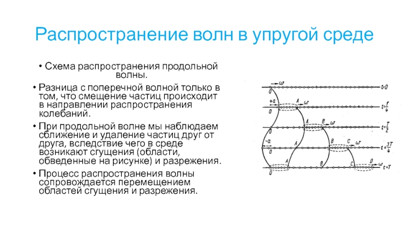 Распространение колебаний в среде волны