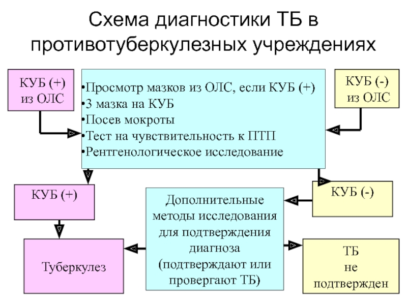 Схема диагностики туберкулеза