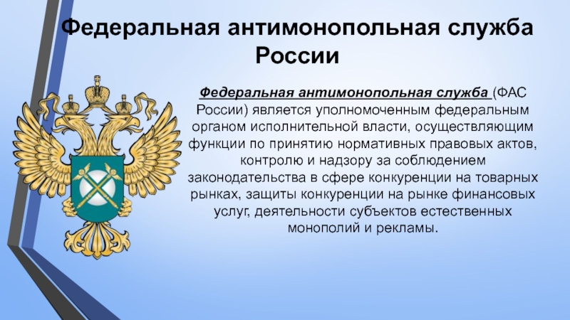 Реферат: Федеральная антимонопольная служба России, её функции