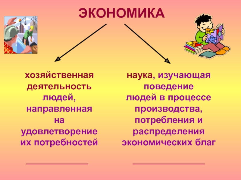 Как называется наука изучающая поведение