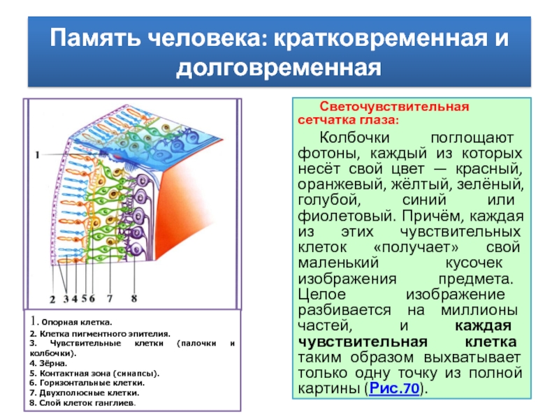 Какую проблематику символически отражает каждый из этих рисунков