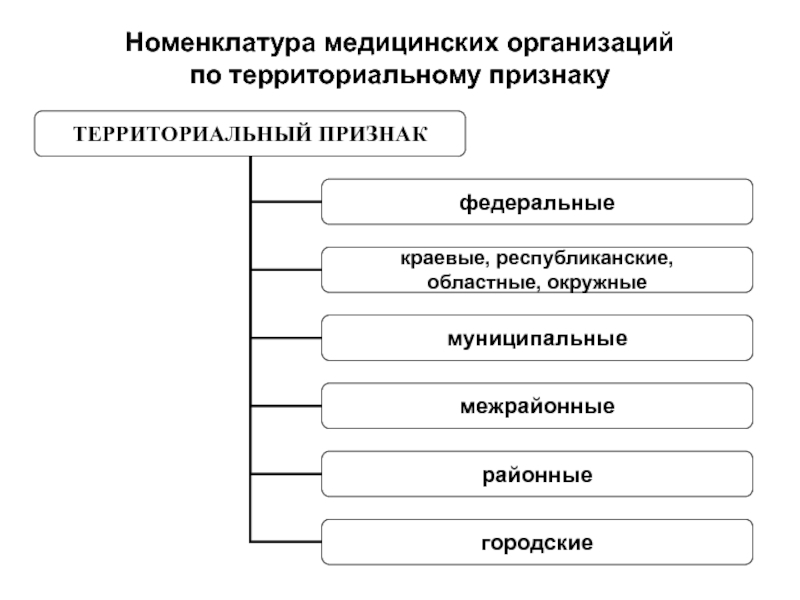 Номенклатура медицинских организаций по территориальному признаку