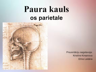 Paura kauls os parietale