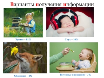 Варианты получения информации