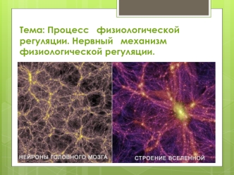 Процесс физиологической регуляции. Нервный механизм физиологической регуляции