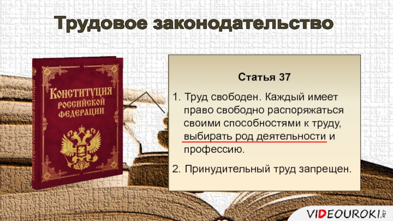 Права молодежи в российской федерации и способы их защиты презентация