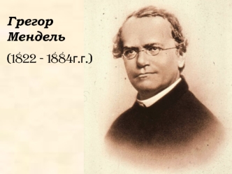 Грегор Мендель 1822 1884г.г