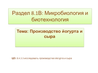 Производство йогурта и сыра