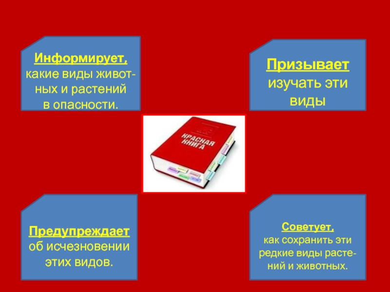 Презентация к теме красная книга