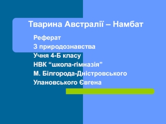 Тварина Австралії - намбат