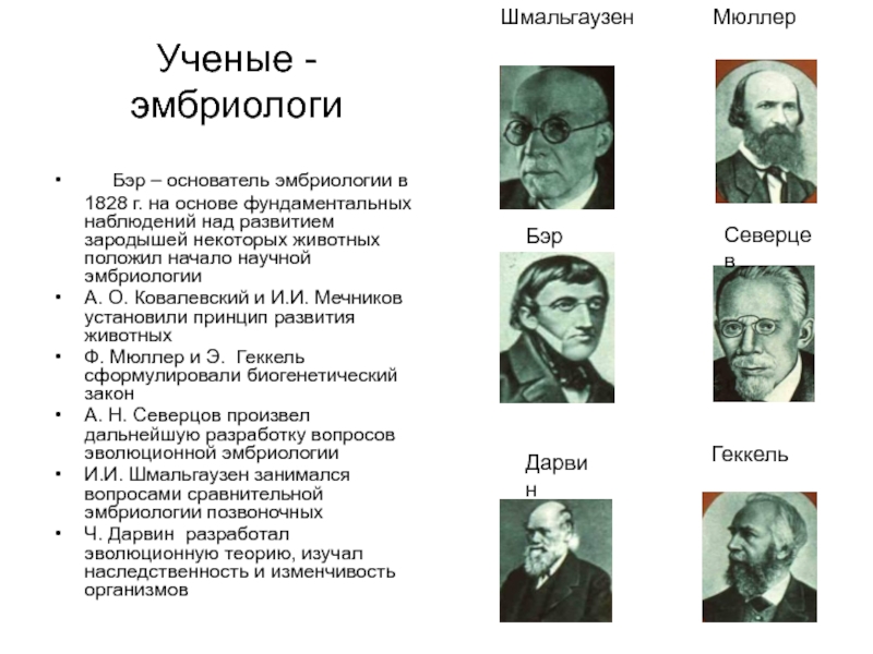 Современную эволюционную теорию можно представить в виде следующей схемы в условиях неограниченности