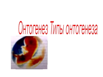 Онтогенез. Типы онтогенеза