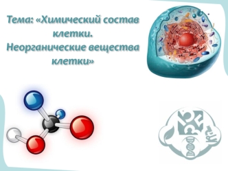 Химический состав клетки. Неорганические вещества клетки