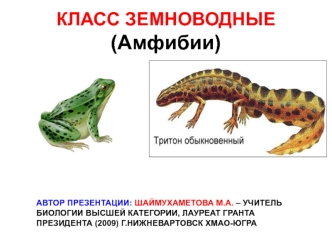 Класс земноводные