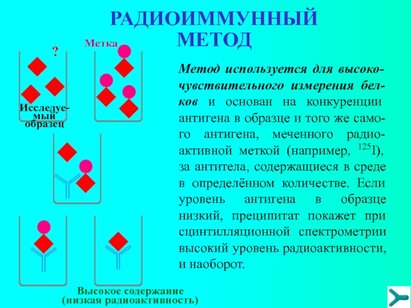 Радиоиммунный анализ схема