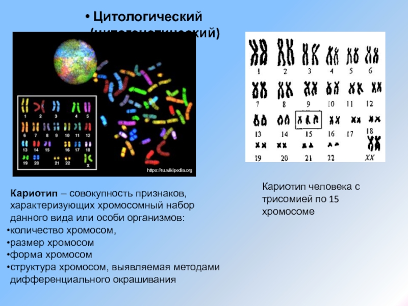 Цитологическая карта это