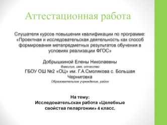 Аттестационная работа. Исследовательская работа Целебные свойства пеларгонии. (4 класс)