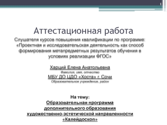 Образовательная программа дополнительного образования художественно-эстетической направленности Калейдоскоп