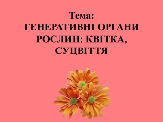 Генеративні органи рослин: квітка, суцвіття