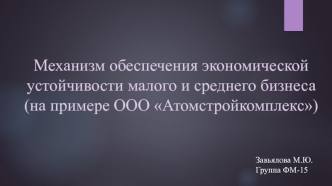 Механизм обеспечения экономической устойчивости малого и среднего бизнеса (на примере ООО Атомстройкомплекс)