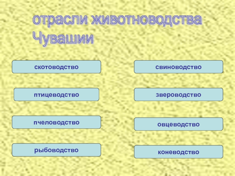 Дополните схему классификации животноводства представленную на рисунке 81