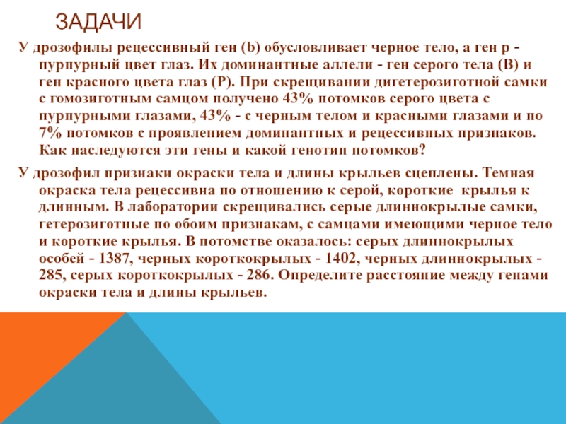 У дрозофилы доминантный. Ген красных глаз у дрозофилы доминирует. У дрозофилы доминантный ген красной окраски.