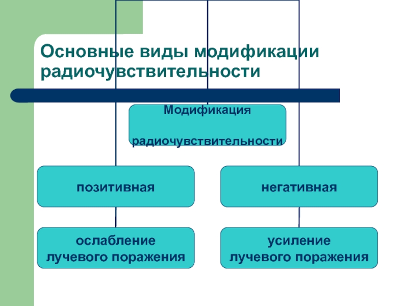 Модификациями являются. Модификация радиочувствительности. Виды модификаций. Виды радиочувствительности. Пример современного подхода к модификации радиочувствительности.