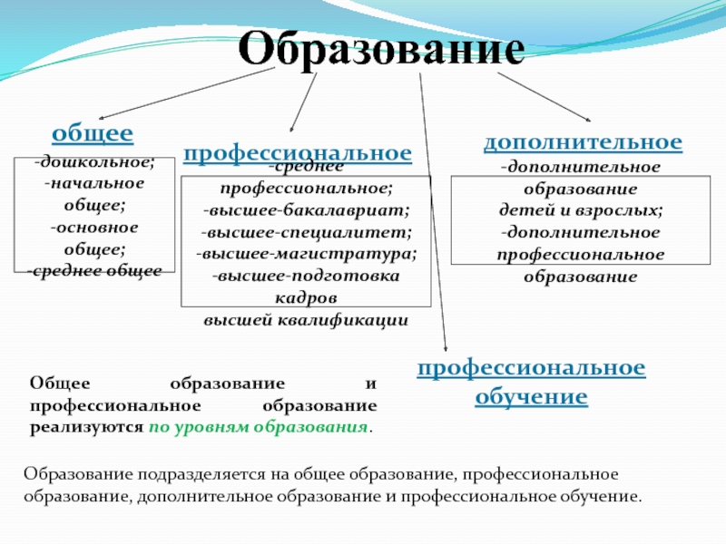 Восполните пробел в приведенной ниже схеме в рф дошкольное общее профессиональное