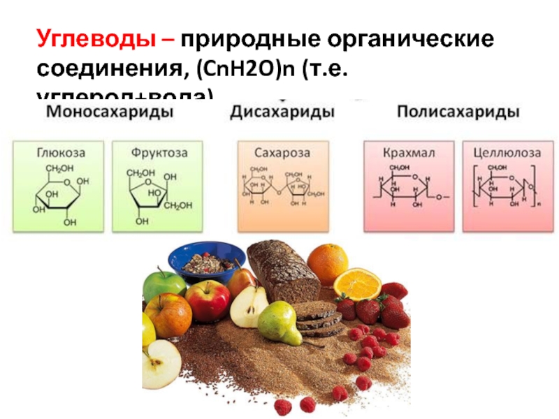 Органические вещества проект