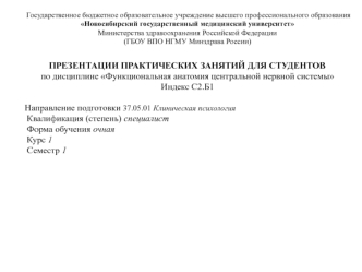 Анатомия человека. Продолговатый мозг. Задний мозг, мост и мозжечок. Перешеек ромбовидного мозга. (Тема 1.4)