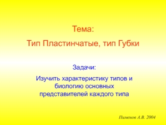 Тип Пластинчатые, тип Губки