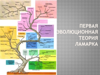 Первая эволюционная теория Ламарка