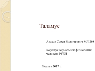 Таламус. Ядра таламуса