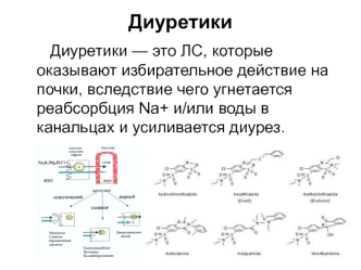 Диуретики. Локализация действия основных групп диуретиков