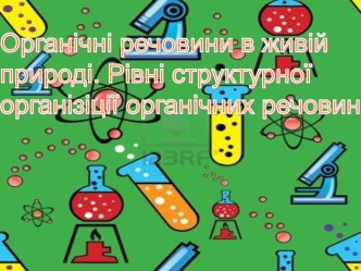 Органічні речовини в живій природі. Рівні структурної організації органічних речовин