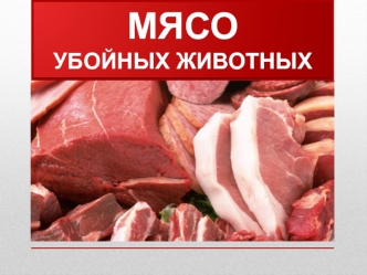 Мясо убойных животных