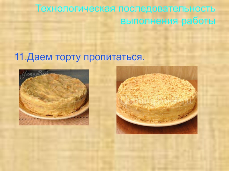 Торт технология проект