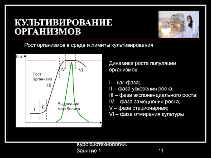 Ускоренного роста. Экспоненциальная фаза роста. Лаг фаза экспоненциальная фаза. Фаза замедления и ускорения роста. Лаг фаза фаза ускоренного роста.