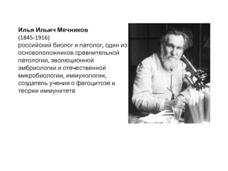 Илья Ильич Мечников (1845-1916)