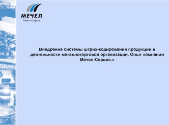 Внедрение системы штрих-кодирования продукции в деятельности металлоторговой организации