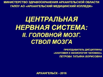 Центральная нервная система. Головной мозг. Ствол мозга