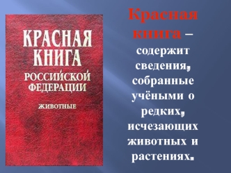 Красная книга. Животные и растения, которые находятся на грани вымирания