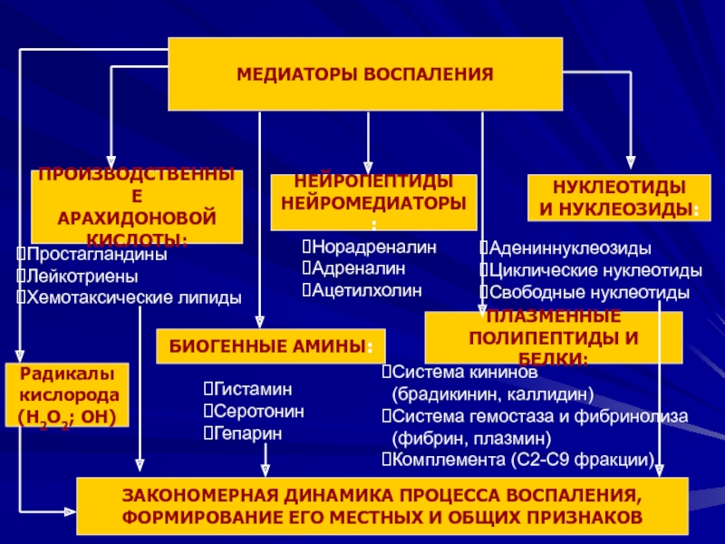 Медиаторы воспаления вызывают схема