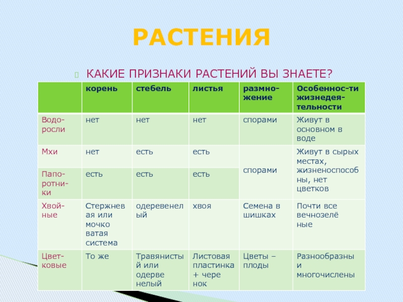 Определите признаки растений