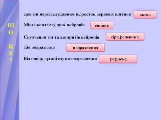 Будова, функції та розвиток відділів ЦНС. Будова спинного мозку