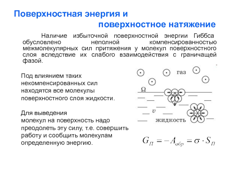 Поверхностные молекулы