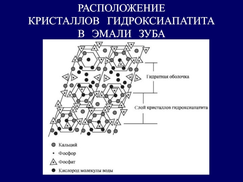 Химическое строение эмали. Строение кристаллов гидроксиапатита биохимия. Кристаллы гидроксиапатита формула. Структура кристалла гидроксиапатита. Кристаллы гидроксиапатита гистология.