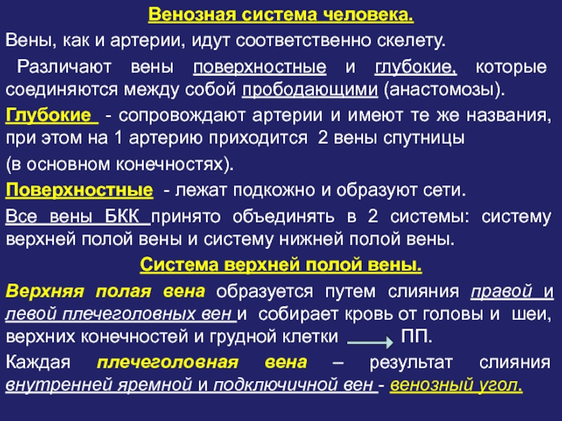 Система вен. Как соединяются вены и как соединяются артерии между собой. Связь вен между собой глубокие поверхностные. Вена-Спутник сопровождает.