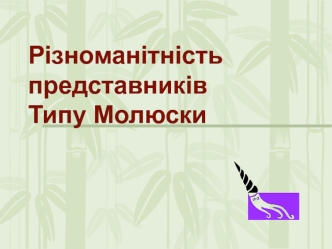 Різноманітність представників типу молюски